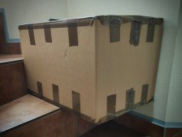 Die Kiste mit dem Puzzle ist endlich geliefert worden!